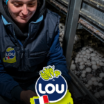 LOU Légumes choisi Rivacom pour l&rsquo;accompagner dans ses relations médias et se positionner comme porte-étendard du champignon frais français