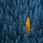 2023 : C’est déjà demain !